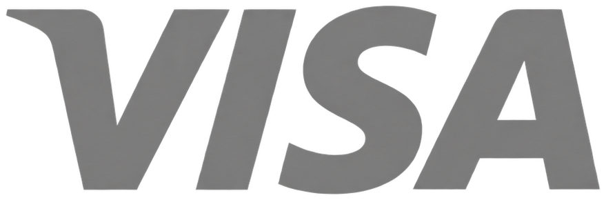 Visa wordmark from a payments stack built in IntelliJ IDEA